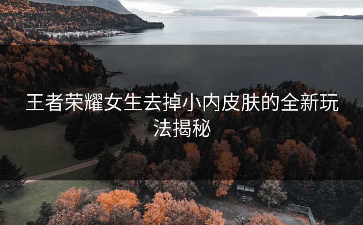 王者荣耀女生去掉小内皮肤的全新玩法揭秘
