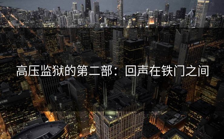 高压监狱的第二部：回声在铁门之间
