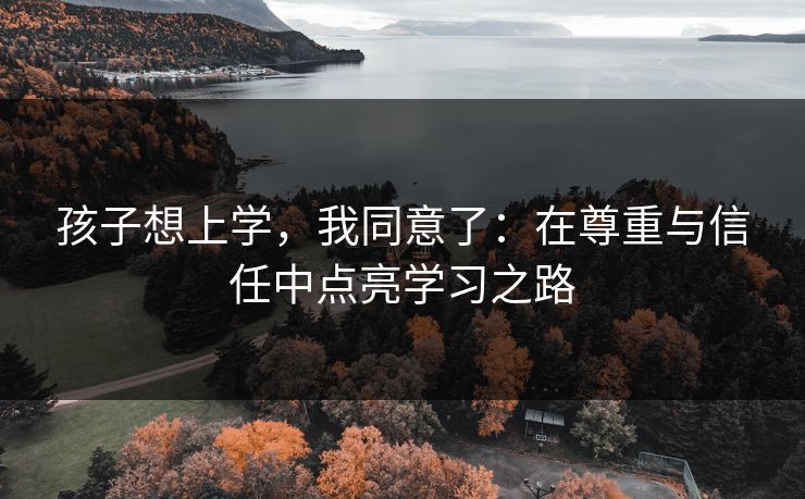 孩子想上学，我同意了：在尊重与信任中点亮学习之路
