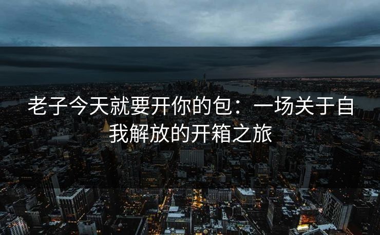 老子今天就要开你的包：一场关于自我解放的开箱之旅